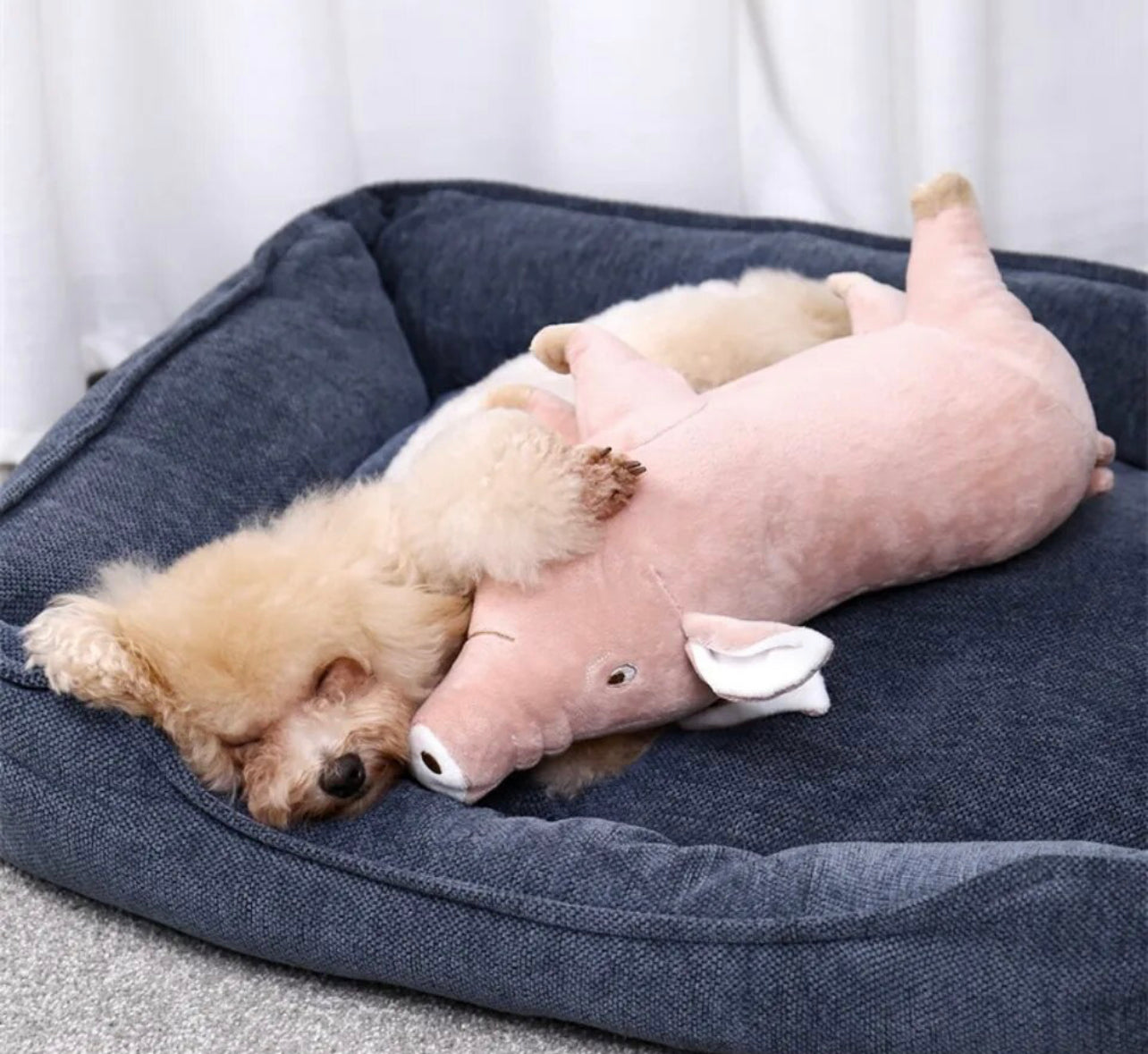 Piggy Paws Dog Toy
