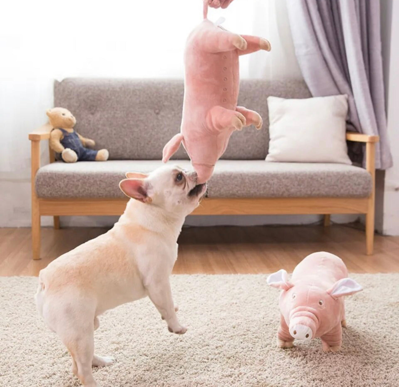 Piggy Paws Dog Toy
