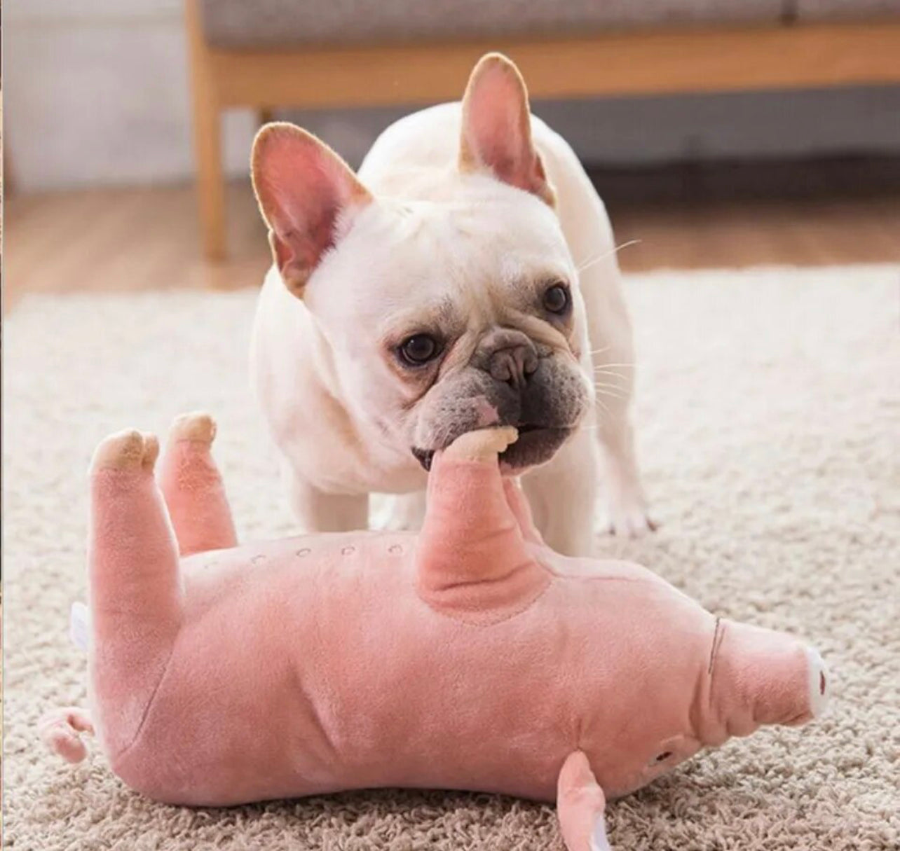 Piggy Paws Dog Toy