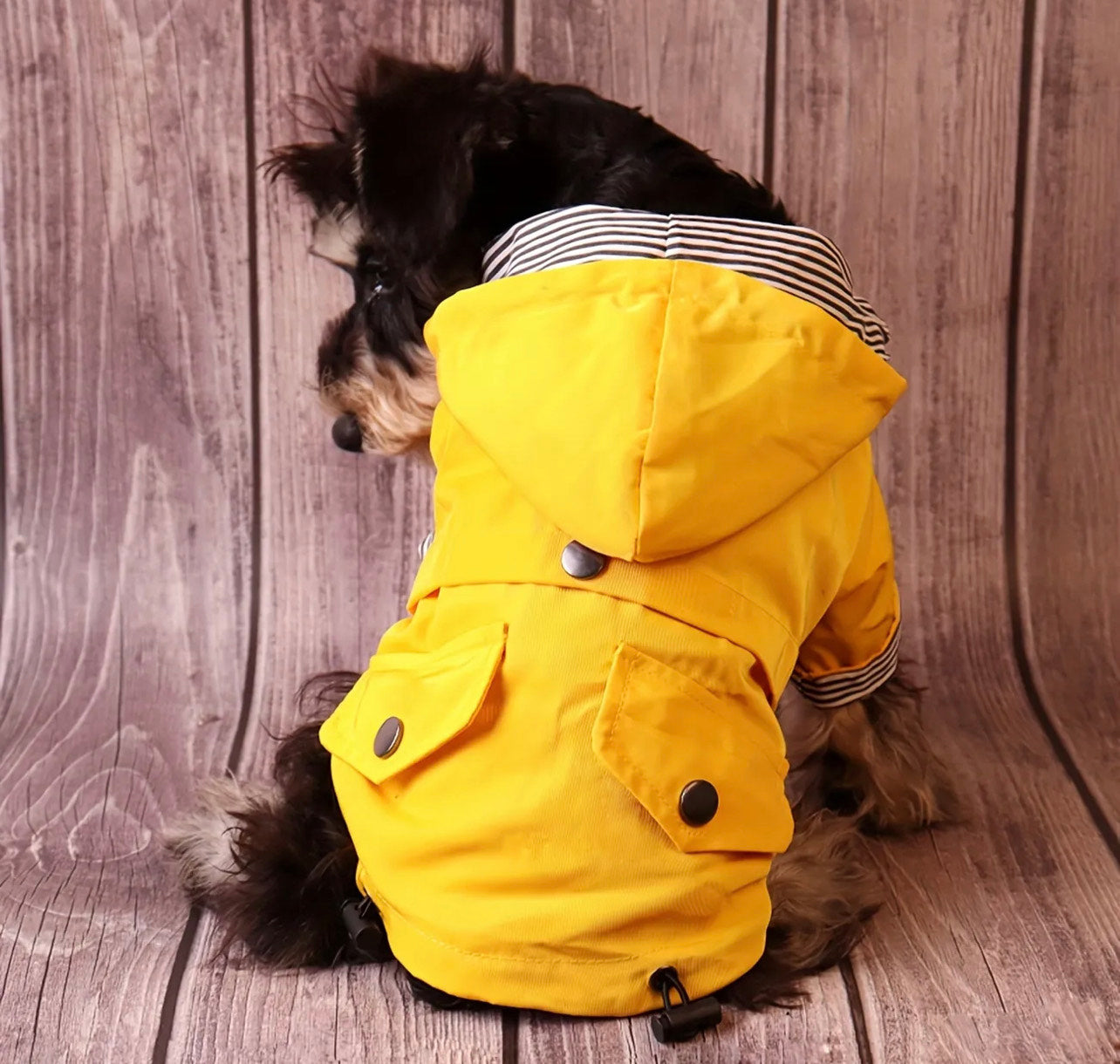 Dog Rain Coat - Yellow