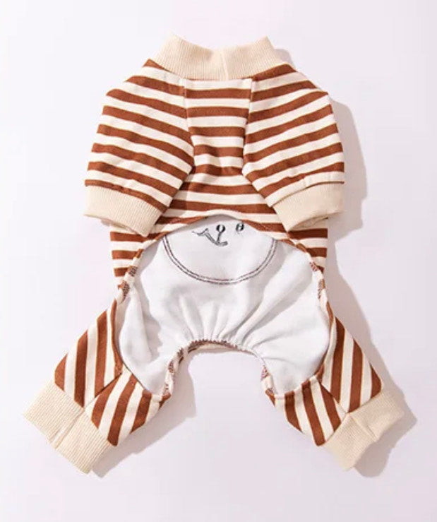 Teddy Bear Jump Suit